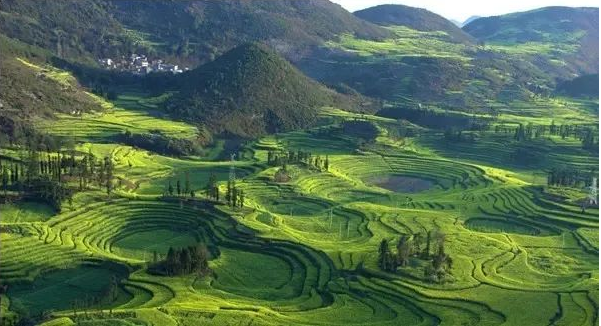 1000畝山林被鄰村強占，京云<a href=http://www.zzzttx.com/team/ target=_blank class=infotextkey>律師</a>代理成功撤銷土地使用權(quán)確權(quán)事宜的告知