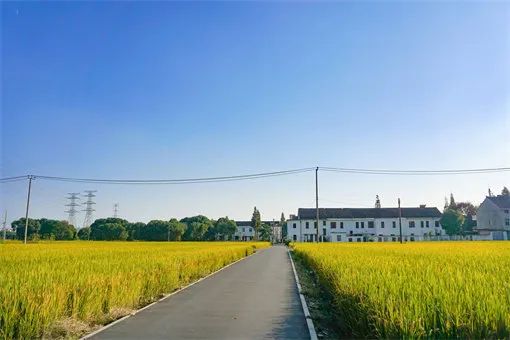 “一地二包”，誰最終有權獲得？