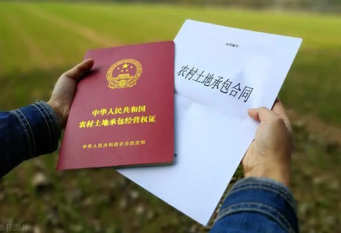 村民向政府申請土地確權被忽視？法院：責令履責！