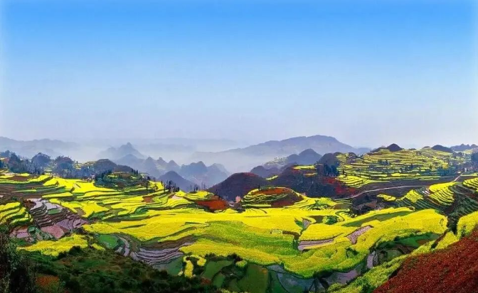 發現土地征收違法行為，申請違法查處行政不作為？法院：履行法定職責！